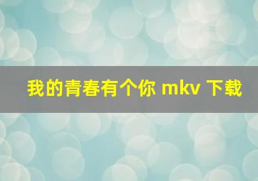 我的青春有个你 mkv 下载